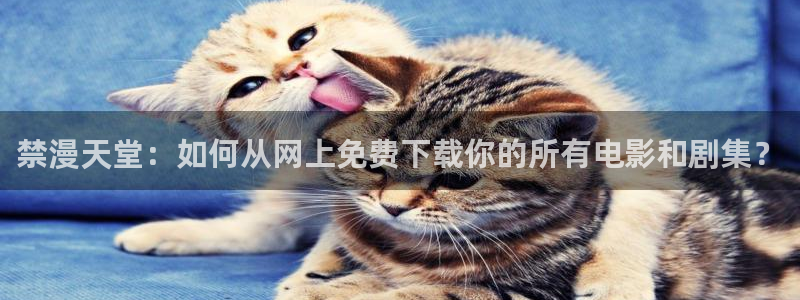 omofun全新：禁漫天堂：如何从网上免费下载你的所有电影和剧集？