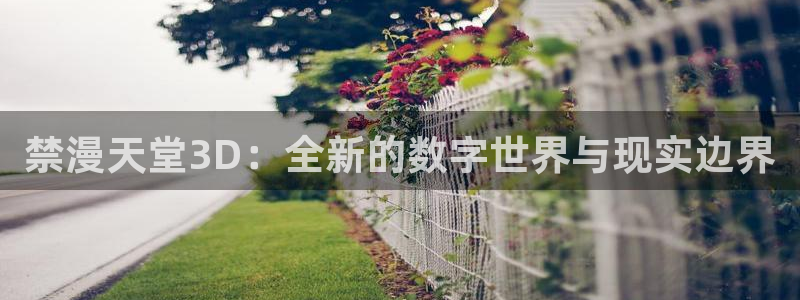动漫共和国omofun下载：禁漫天堂3D：全新的数字世界与现实边界