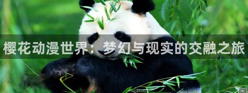omofun动漫下载：樱花动漫世界：梦幻与现实的交融之旅