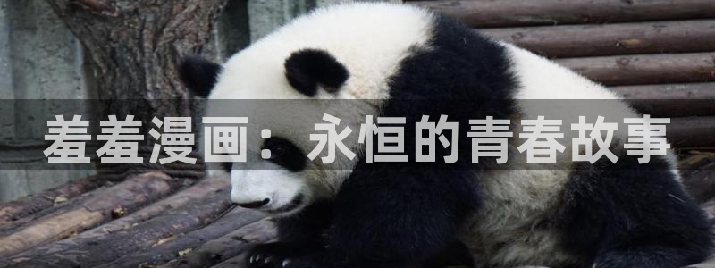 omofun动漫视频网提供最新最快的动漫新番：羞羞漫画：永恒的青春故事
