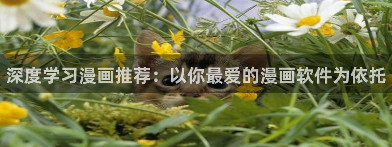 omofun\'：深度学习漫画推荐：以你最爱的漫画软件为依托