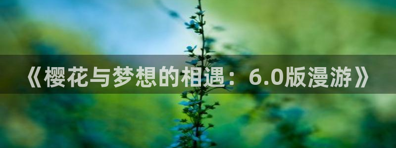www.omofun.：《樱花与梦想的相遇：6.0版漫游》