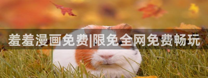 omofun正版app下载：羞羞漫画免费|限免全网免费畅玩