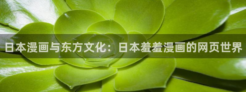 omofun最新官方下载：日本漫画与东方文化：日本羞羞漫画的网页世界