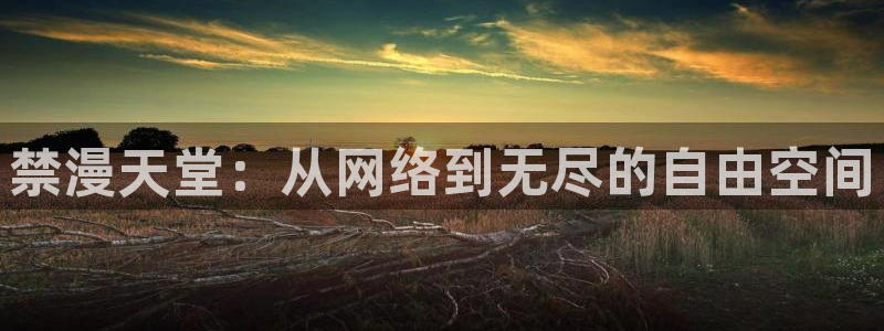 omofun动漫共和国：禁漫天堂：从网络到无尽的自由空间