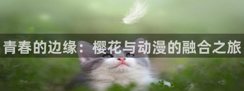 omofun有ios版吗：青春的边缘：樱花与动漫的融合之旅