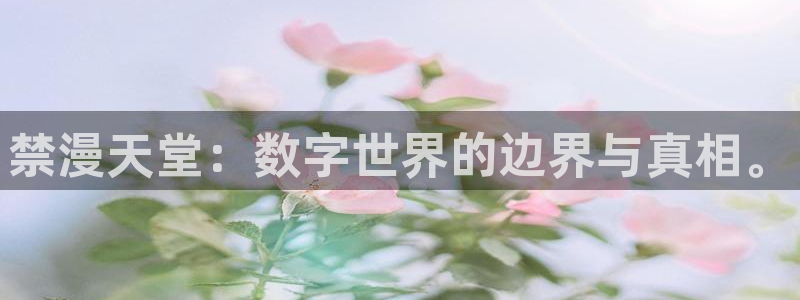 omofun缓存：禁漫天堂：数字世界的边界与真相。