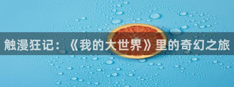 omofun动漫官方首页：触漫狂记：《我的大世界》里的奇幻之旅