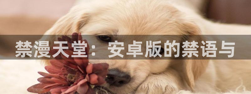 omofun的官网：禁漫天堂：安卓版的禁语与