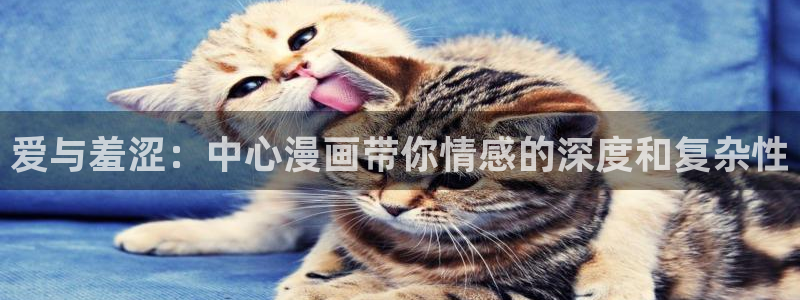 漫画之家下载安卓