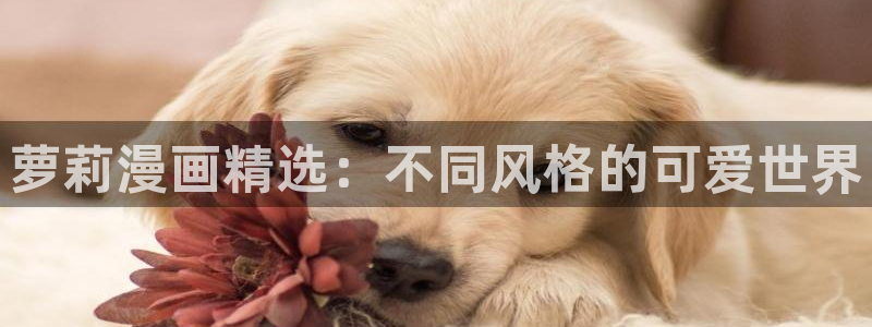 omofun苹果版安装包：萝莉漫画精选：不同风格的可爱世界