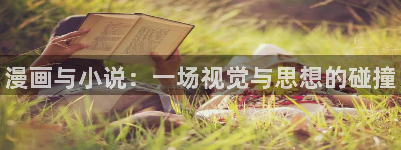omofun动漫下载：漫画与小说：一场视觉与思想的碰撞